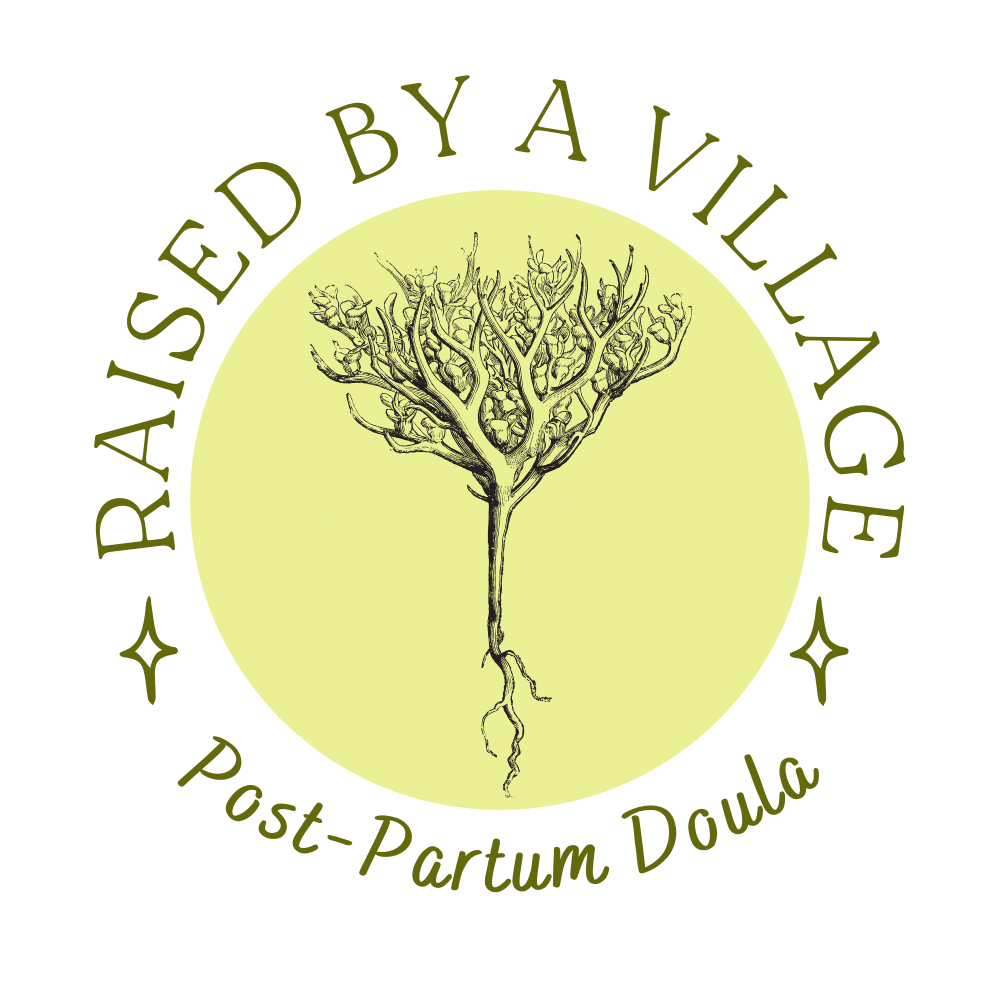 Raised By A Village — Post-Partum Doula